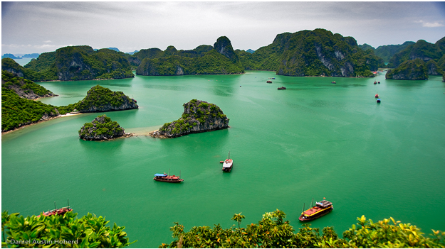 Như một bức tranh thủy mặc sống động - Ảnh Daniel Hoherd.png