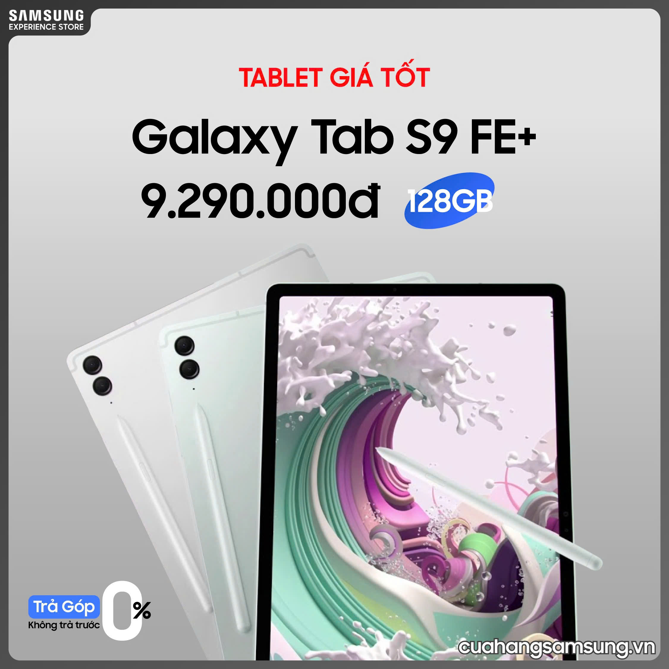 tab s9 fe +.jpg